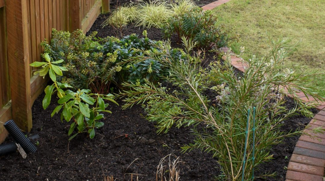 PL_Clarkston - Hillfield Drive - 6